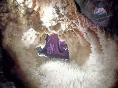 -湖南省地质博物馆