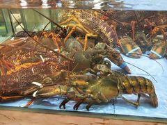 -旺顺阁海鲜广场(亚运村店)