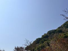 -小南山公园