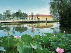 -三圣花乡旅游区