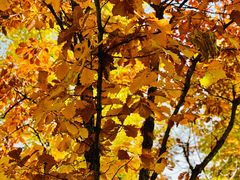 -北京雁栖湖国际会展中心