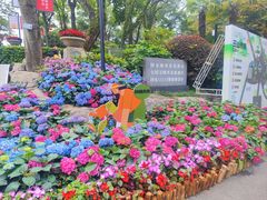 -广州市白云山风景名胜区
