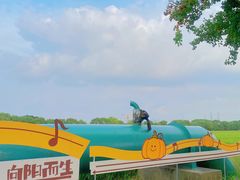 -嘉北郊野公园