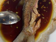 -明本湛江鸡•海鲜小厨(陈家祠店)