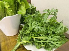-乳仔牛牦牛汤锅 烤羊排(松潘古城店)