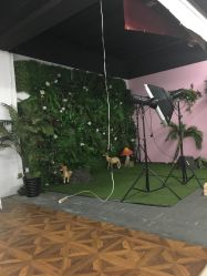 -克拉女神写真馆·匠心定制