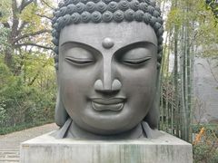 -杭州植物园