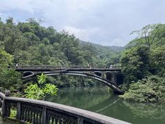 -鼎湖山风景区