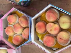 -南汇水蜜桃采摘(大团店)