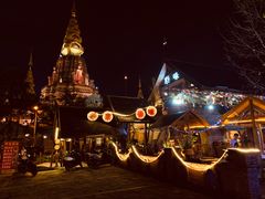 -纳兰傣雀傣味餐厅