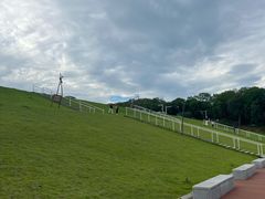 -佛手湖郊野公园