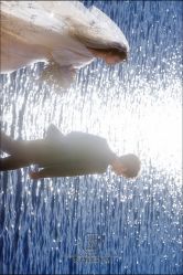 点击看大图 -壹HOME胶片摄影工作室