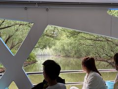 -大湾区中央湿地公园