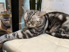 -小时光咖啡馆(北锣鼓巷店)