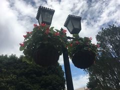 -上海虹桥迎宾馆