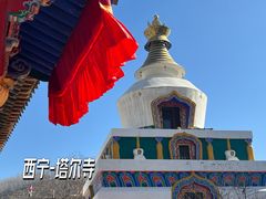 -塔尔寺