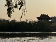 -禹州森林植物园