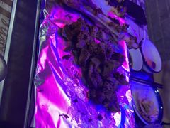 -沪上名羊天下碳烤羊腿•东北烧烤•小龙虾(浦东直营总店)