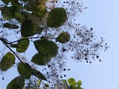 -南翠屏公园