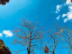 -广州市白云山风景名胜区
