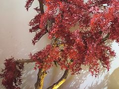 -火社火锅(裕华万达店)