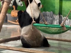 -临沂动植物园