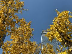 -百林公园-两江幸福广场