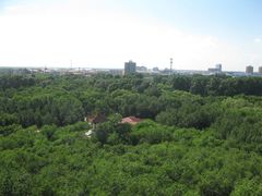 IMG_2230-龙沙公园