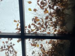 -VOYAGE COFFEE(北锣鼓巷店)