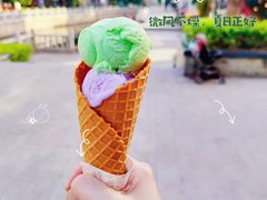 -成裕雪糕店(士多店)