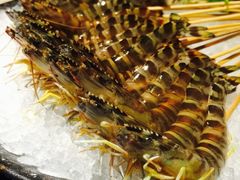 -官也街澳门火锅(新源里店)