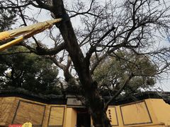 -无锡惠山寺