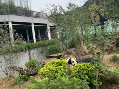 -南宁市动物园