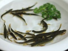 -锦河别院酒楼