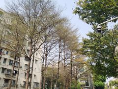 -番禺大夫山森林公园