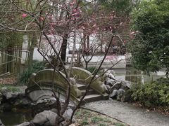 -秋霞圃