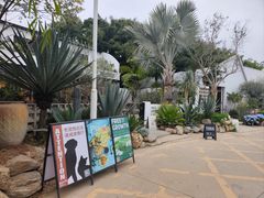 -自由生长植物工作室(深港花卉中心店)