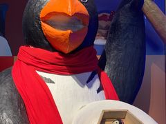 -帝企鹅自助餐厅•儿童岛•真企鹅(长隆企鹅酒店)