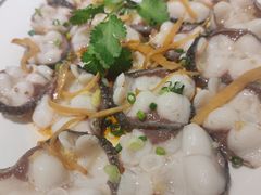 家乡蒸缩骨鱼片-顺德佬(石厦店)