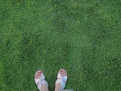 -杭州城北体育公园