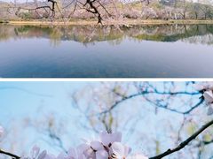 -国家植物园