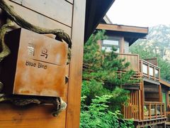 -云峰山自然风景区