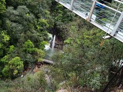 -九龙江国家森林公园