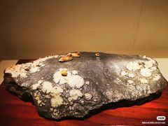 -杭州工艺美术博物馆