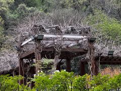 -幕燕滨江·长江观音景区