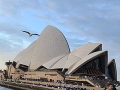 -悉尼歌剧院
