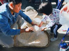 -1982农场