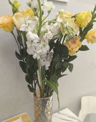 -梵茜儿·头道汤养生馆