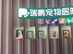 -瑞鹏·疫苗·绝育·宠物医院(金沙洲店)