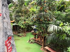 -呀路古热带植物园